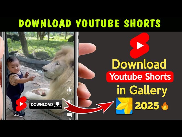 How To Download YouTube Shorts videos? 2025 || How To Download youtube shorts videos in gallery