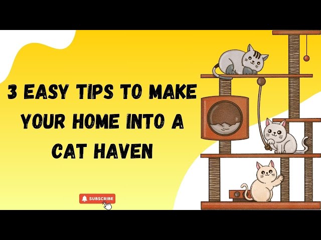 3 Easy Tips to Transform Your Home into a Cat Haven!