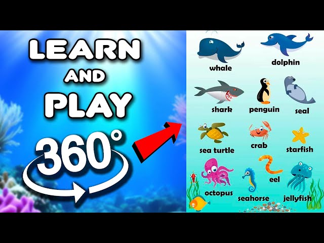 Water Animals Vocabulary l Learn Water Animals Name In English With Pictures!