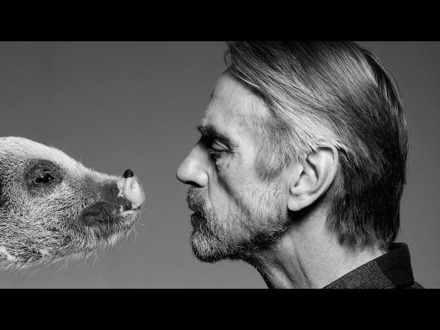 Jeremy Irons: Pay a bit more, for humanities sake