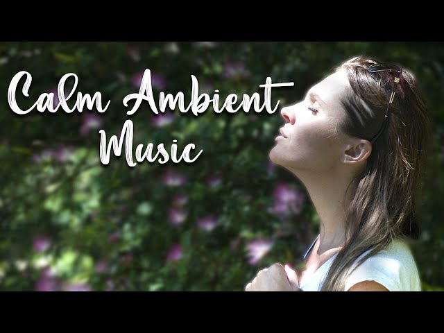 360 Degree View Calm Ambient Music