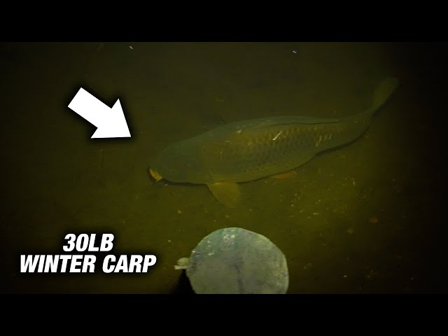 WHERE TO FISH IN THE WINTER?? Cold Weather Carp Fishing!