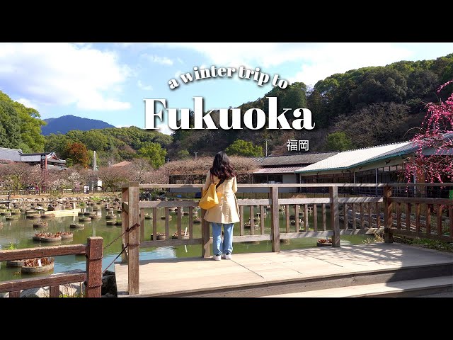 Japan Travel Vlog | Fukuoka Sightseeing, Food, Aquarium, Dolphin Show and Seaside Park 🇯🇵✨