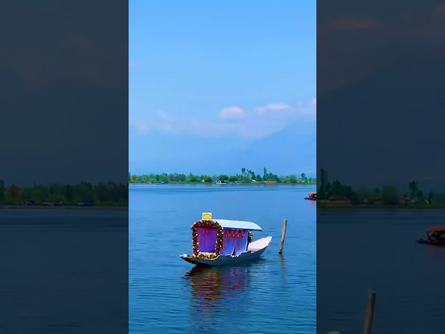 This is the natural beauty of Kashmir 📍🥀 please subscribe #viralvideo #travel #@diljitdosanjh