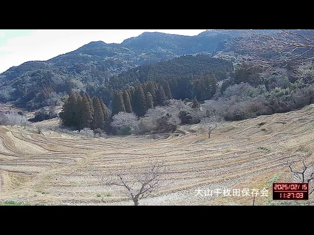 千葉県鴨川市 大山千枚田ライブ映像