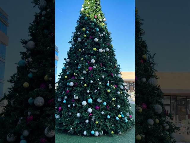 Free Christmas Photoprop in Dallas!