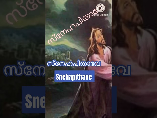 സ്നേഹപിതാവേ / Snehapithave /christian devotional / #shorts #shortsfeed