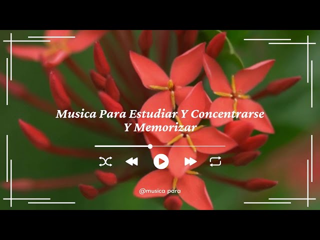 Música para Concentrarse y Memorizar 🌟 Sonidos Relajantes para Estudio, Trabajo y Lectura