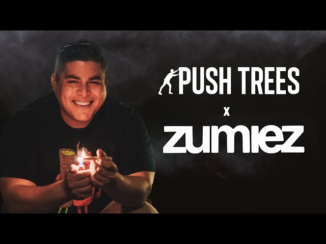 Push Trees Is Now In Zumiez