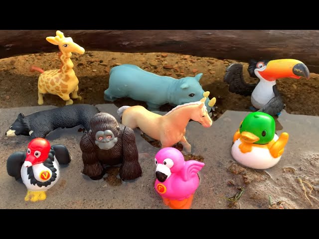 Learning Made Fun: Amazing Wild Animal Toy Facts for Kids | Pinoy Kids Channel