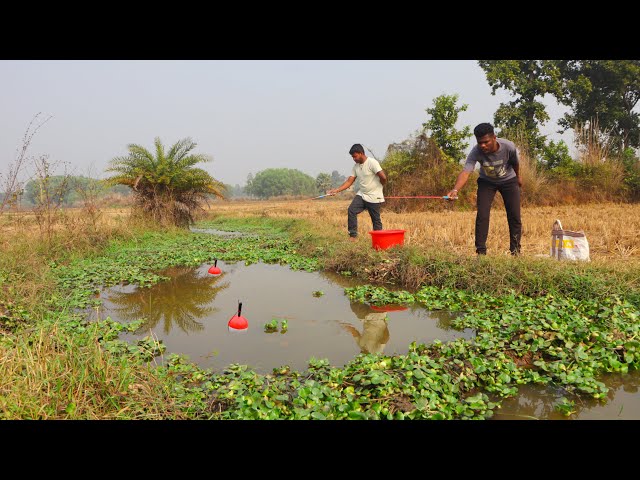 Fishing Video🎣🐠 || Talented Two boy fishing with hooks in paddy field canal || Best Canal fishing