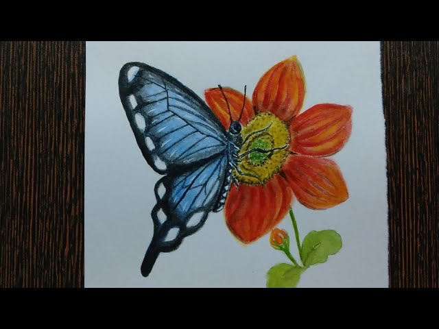 Watercolourpainting | for beginners | butterfly | #painting  #watercolorpainting #easypainting