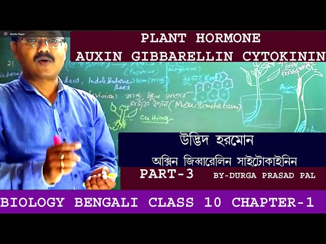 Biology and  Life science bangla bengali free lecture for class 10/plant hormone/plant coordination