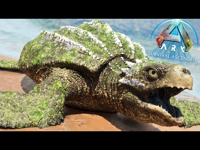 Archelon Spotlight: How To Tame | Abilities & Spawn Locations! ARK: Ascended