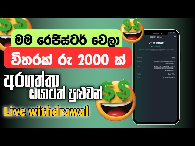 2025 පොඩි කෙනෙක්ට උනත් පුළුවන් HOW TO EARN MONEY ONLINE, MAKE MONEY ONLINE 2025