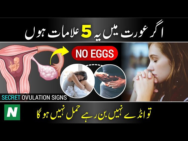 5 SECRET Signs When a Woman is Not Ovulating | ovulation | Ovulation symptoms in urdu