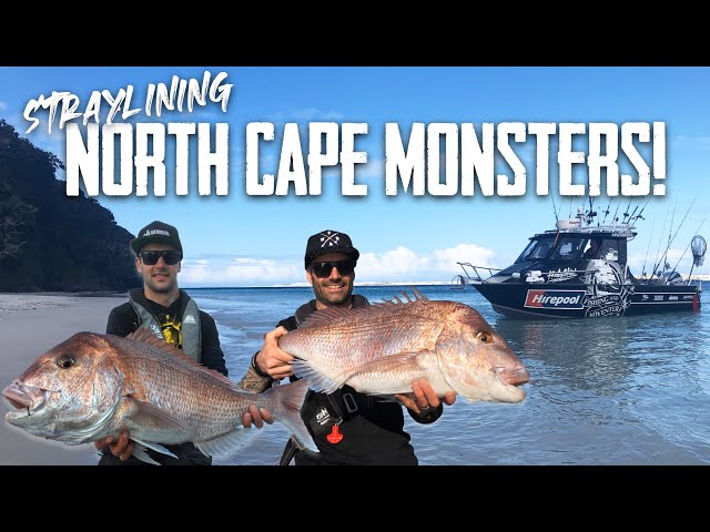 CRAZY fishing in a REMOTE location - S6 EP5 Far North NZ (Part 2)