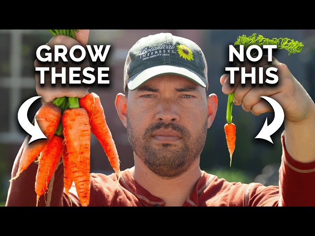 Watch This BEFORE You Plant Carrots 🥕