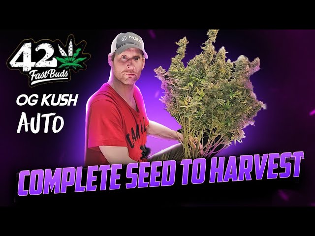 COMPLETE Seed to Harvest & Dry Weight, Spiderfarmer SF-2000