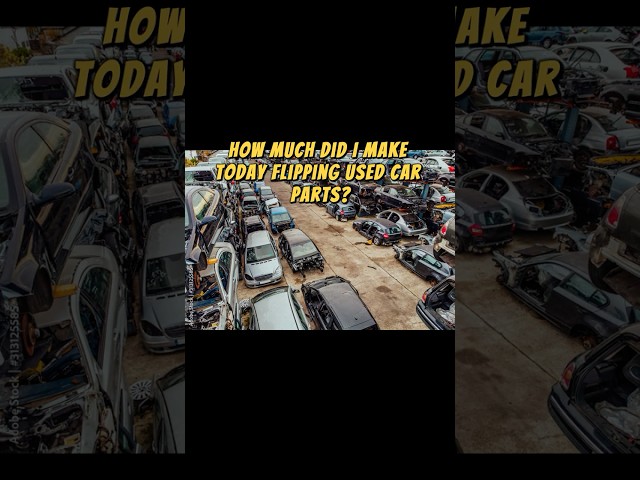 HOW MUCH DID I MAKE TODAY FLIPPING USED CAR PARTS?  #sideHUSTLE #MONEY #VIRAL #EARN #CARPARTS#CREAT