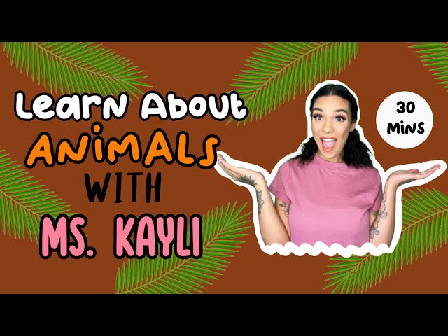 Learn About Animals With Ms Kayli | Toddler Learning | Educational Video