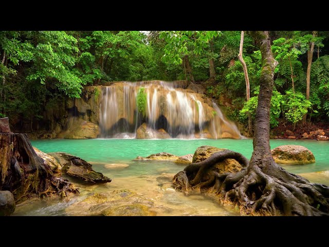 🔴 24/7 Relaxing Turquoise Waterfall in Thai Jungle 🌿 | Soothing Waterfall Sounds, Birds Chirping