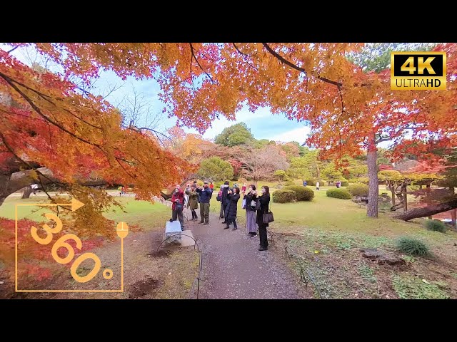 「ASMR」 360° 5.7K video of Shinjuku Gyoen, an urban nature park in Shinjuku, Tokyo