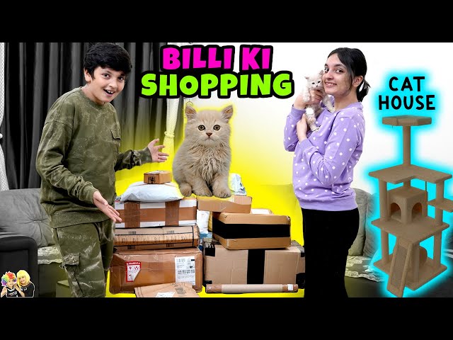 BILLI KI SHOPPING | Cat Name, Cat Tree, Cat House | Aayu and Pihu Show