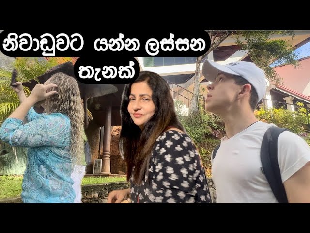 Place for the Nature Lovers | TREE OF LIFE Nature Resort | Kandy