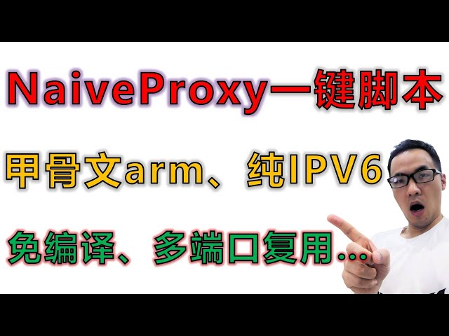 全网首发：Naiveproxy协议一键脚本搭建教程，首创#多端口复用，无须编译caddy，支持自定义伪装网页，支持arm、lxc、openvz、纯IPV6等多种架构、小内存的VPS，最全面的脚本教程