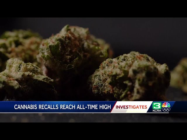 California cannabis recalls reach an all-time high. Weed oversight is increasing, but is it enough?