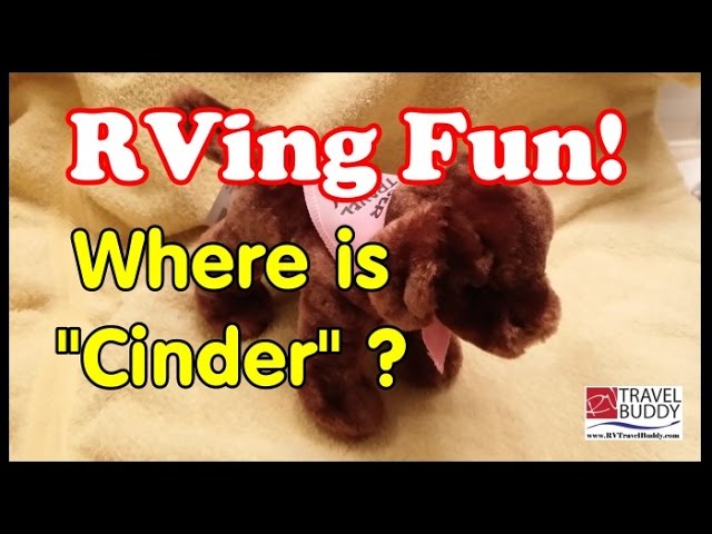 RV Fun | Where is CINDER? Can You Find Her? | RV Travel Buddy Chocolate Lab Dog