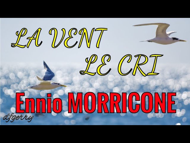 "LA VENT, LE CRI" Ennio Morricone, Keyboard  Live Cover _dfgerry_