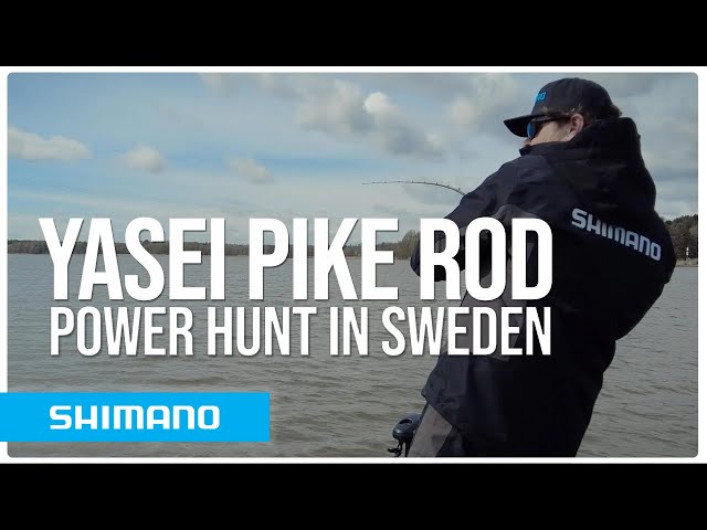 Targeting BIG pike in Sweden with the Shimano YASEI AX fishing rod