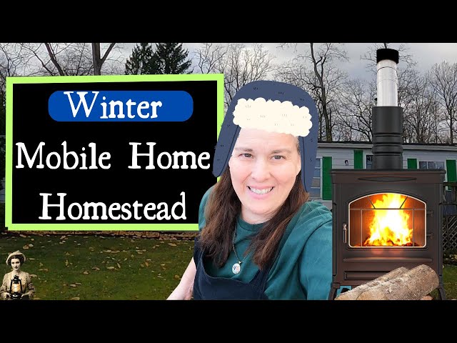 WINTER | 1 ACRE MOBILE HOME HOMESTEAD | STILL GROWING FOOD!