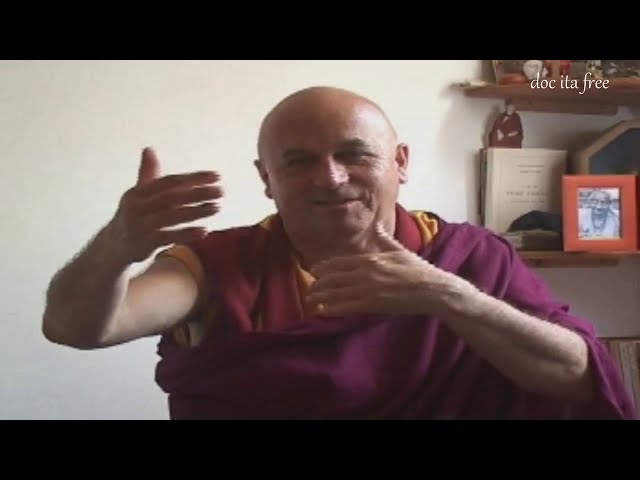 Matthieu Richard Meditazione l'uomo più felice della Terra doc ita documentario felicità Buddhismo