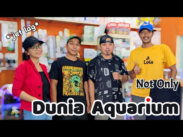 DUNIA AQUARIUM Wadah Dan Sumber Dari Dunia Perikanan