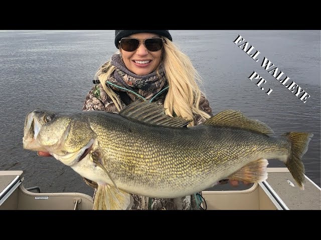 Insane Fall Walleye Fishing on Rainy River Pt. 1