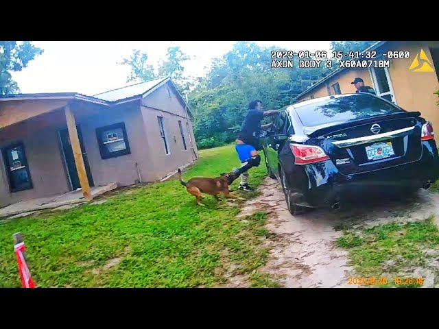 Attempted Murder Suspect Tries to Run, K-9 Makes Him Regret It