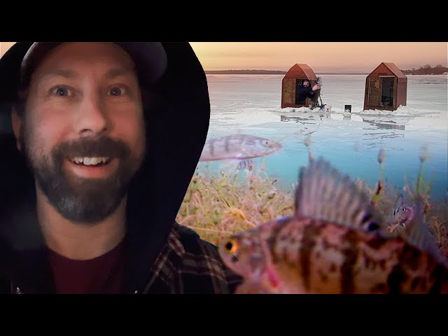 Saving Perch From Pike at Happy Go Fishing Huts 2.1.2024