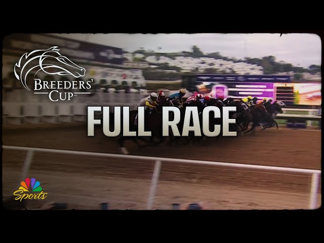 Breeders' Cup 2024: Dirt Mile (Full Race) | NBC Sports