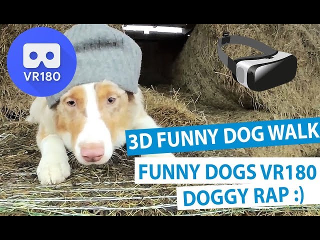 Crazy Dog Rap Walk in 3D - Funny Dogs VR180