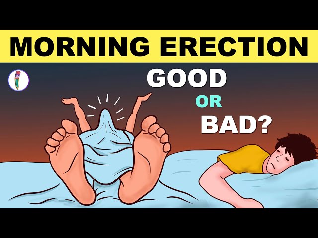 Morning Wood | Morning Erections - GOOD or BAD?