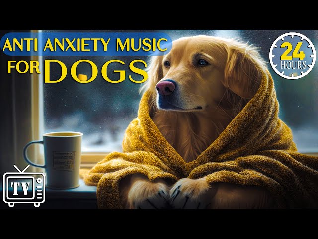 24 Hours Deep Anti Anxiety Music for Dog Relaxation: Tones to Calm Anxiety & Stress with Dog Music