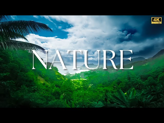 Amazing Nature Beautiful  Scenery 4k & Relaxation Music