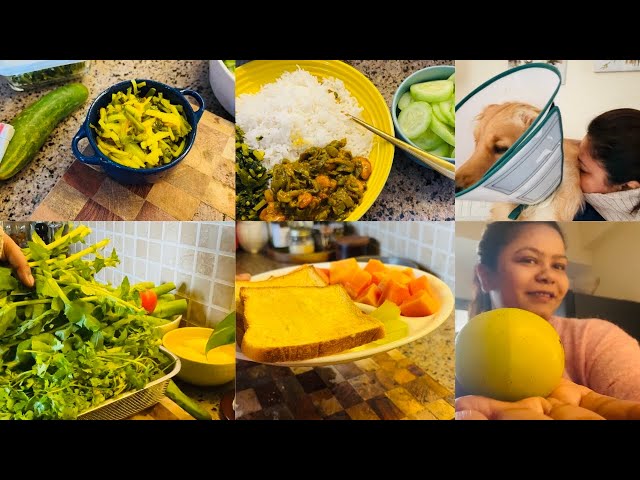 Simple, Healthy, Delicious Winter Veggie Lunch Edition| Ankita Vlogz|