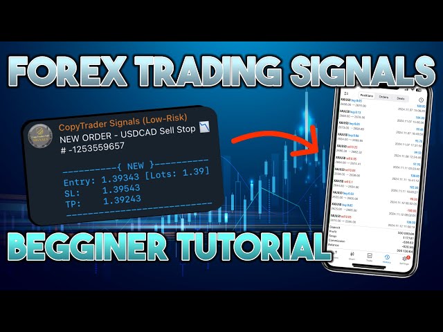 Forex Trading Signals TUTORIAL (Beginner Guide) | The CopyTrader