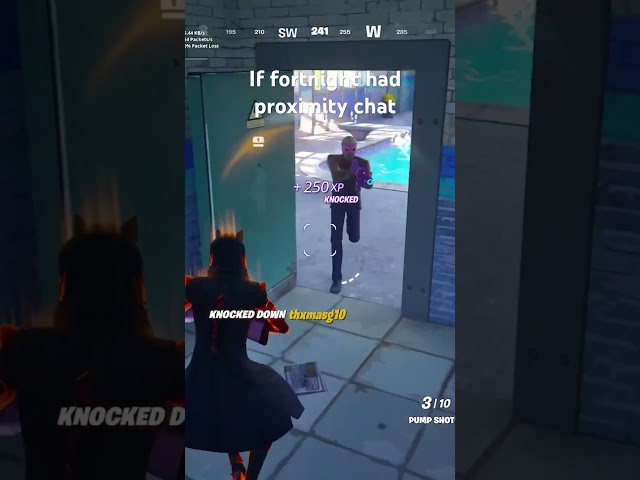 If Fortnite had proximity chat