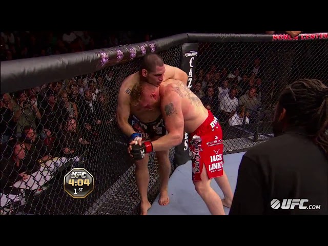 Cain Velasquez vs  Brock Lesnar