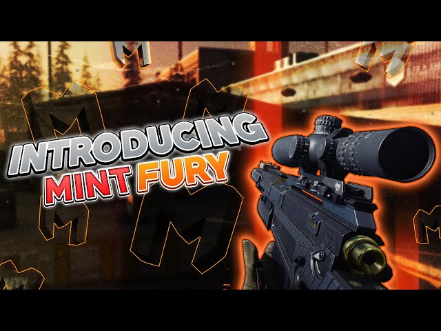 Introducing Mint Fury